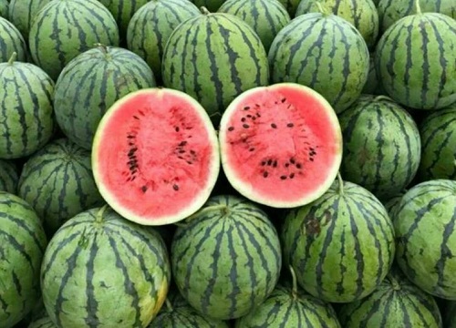 南方种什么西瓜品种最好吃