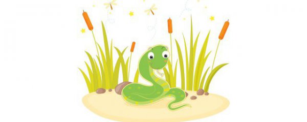 什么属相的人不能养宠物蛇