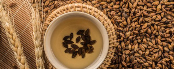 减肥可以喝大麦茶吗