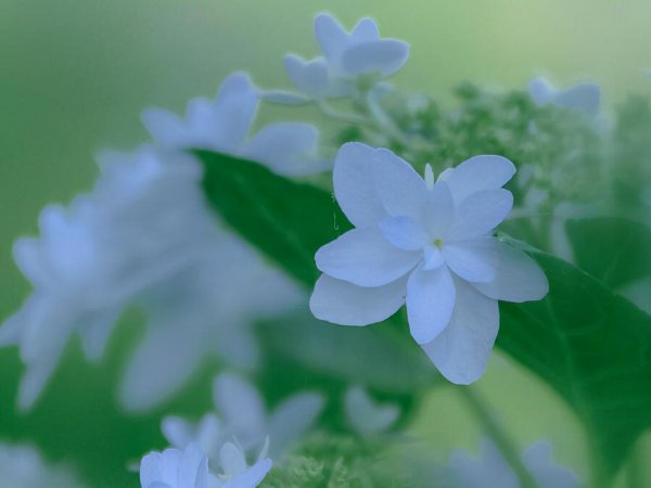 射手男试探女生的手段