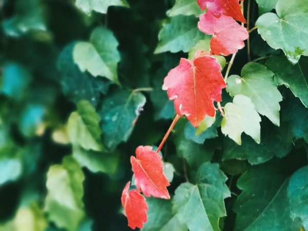 射手男试探女生的手段
