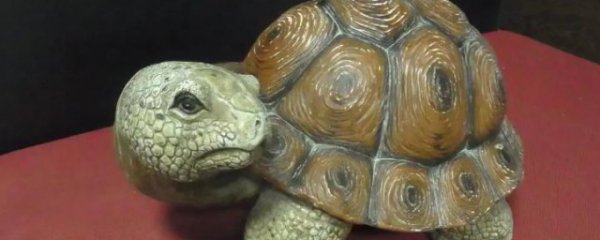 招财龟摆放禁忌