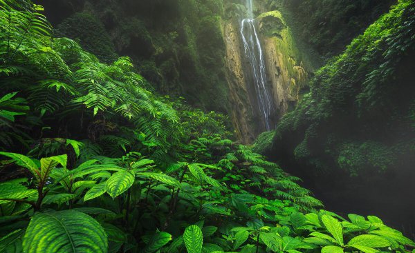 广西最值得去的20个地方