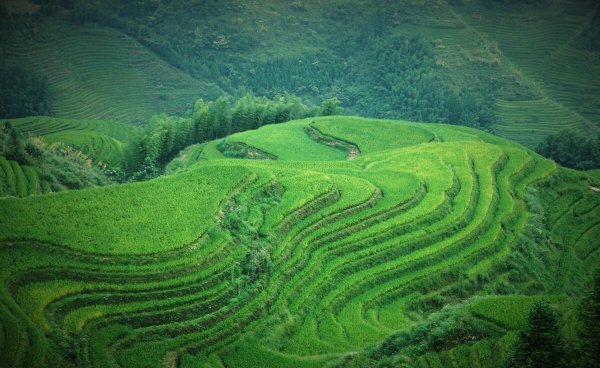 广西最值得去的20个地方