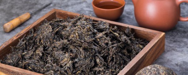 喝过中药能不能喝茶叶