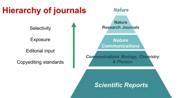 成为院士有多难