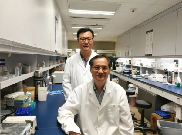 成为院士有多难