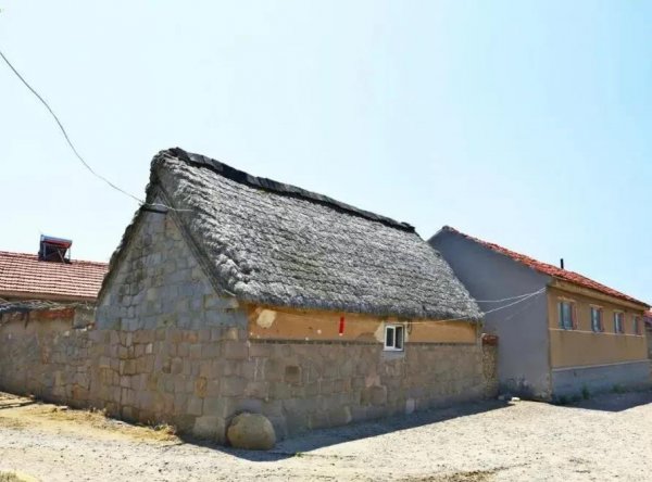 父母爱情在哪个岛上拍摄的