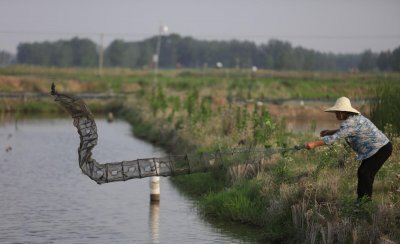 地笼捕鱼用什么饵料最好 地笼里放这些饵让你捞到手软