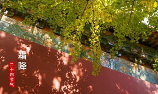 霜降气温多少度 霜降气温会很低吗