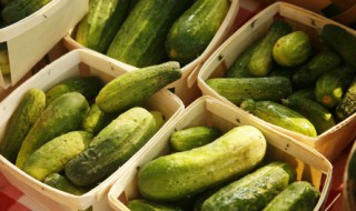 冰箱能放黄瓜吗 冰箱可以放黄瓜吗