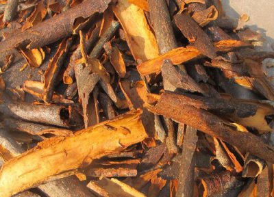 肉桂桂皮是一种东西吗 肉桂和桂皮是同一样植物吗