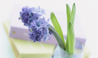 努力励志的句子短句 努力奋斗的励志句子