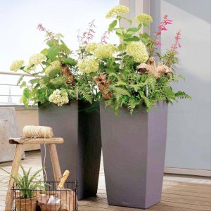 花盆太深在底下垫一些什么东西好 深盆种花底部垫什么好