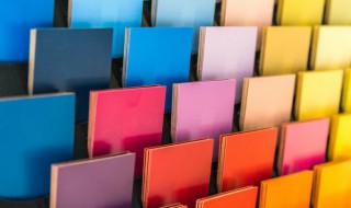 bv绿是什么意思 bv绿的含义