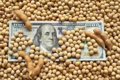 全球四大粮商排名 四大知名粮商有三家都是美国公司