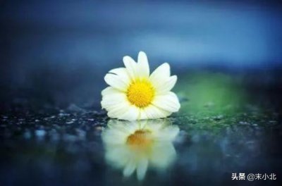 三天可见的女生不要追 为什么不要撩朋友圈三天可见的人