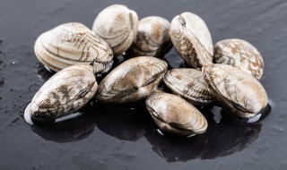 生的花甲可以放冰箱冷冻吗 生的花甲能不能放冰箱冷冻