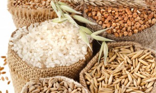 种子可以放冰箱吗 种子可以放冰箱储存不