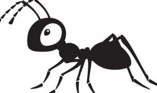 蚂蚁生活在什么环境里 蚂蚁是生活习性介绍