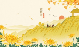 重阳节有喝什么酒的风俗 重阳节喝哪种酒