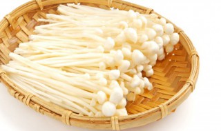 金针菇如何保鲜 如何保存金针菇