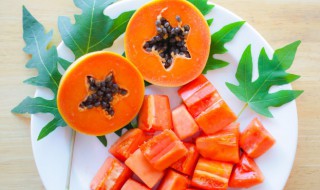 木瓜长在树上吗 木瓜长是不是在树上