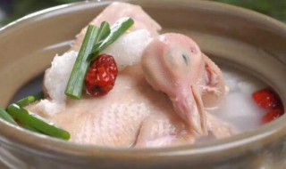 孕妇鸽子汤的做法 孕妇鸽子汤如何做