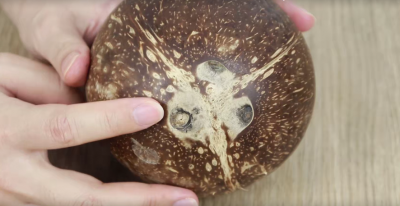 椰子开孔技巧有哪些 巧妙开椰子取椰肉的方法是什么