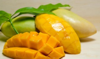 吃芒果能喝红酒吗 吃芒果可以喝红酒吗