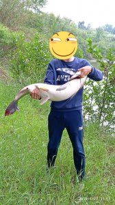 春季钓草鱼的最佳方法 野钓草鱼时用什么饵料最好