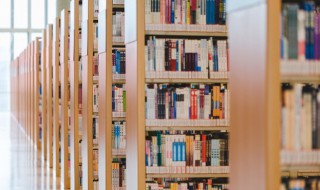 什么叫正品 正品的解释