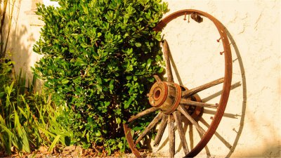 男人最喜欢女人怎么撩他 怎样撩男人可以让他爱上你