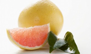 柚子适合什么地方种植 柚子适合种植的地方