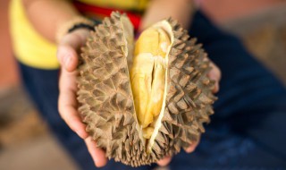 没开口的榴莲要放几天才能熟 榴莲没开口要放几天