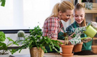 冬天室内怎么养护盆栽 冬天室内如何养护盆栽