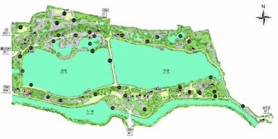 玉渊潭公园在哪里 北京适合赏花的地方玉渊潭介绍