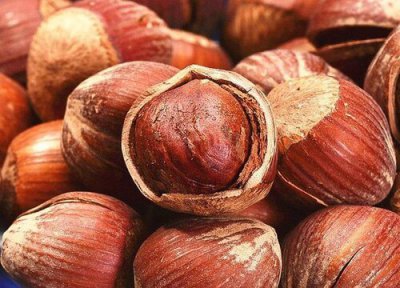 榛子去壳方法 榛子怎么去壳