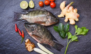 除夕吃什么鱼最好 除夕吃哪种鱼最合适呢