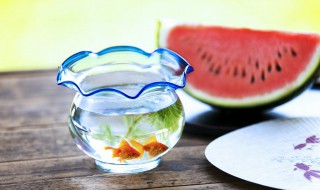 属牛家里摆放什么物件聚财 属牛家里摆什么招财