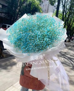 白色满天星的花语和寓意 满天星代表的5个含义