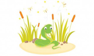 什么属相的人不能养宠物蛇 哪种属相的人不能养宠物蛇