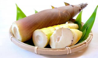 竹笋吃的是哪个部位根 竹笋吃哪个部位