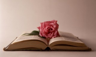 早安心语一句话 早安心语短句一句话