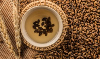 减肥可以喝大麦茶吗 减肥的时候喝大麦茶好吗