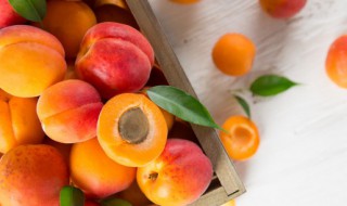 新鲜水果的挑选方法 如何挑选新鲜水果