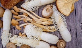 吃竹荪有什么好处 吃竹荪对人有哪些好处