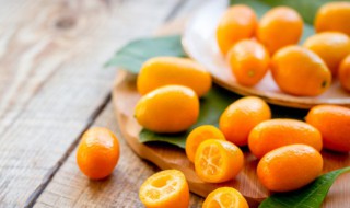 小金桔种植方法与注意事项 小金桔如何种植