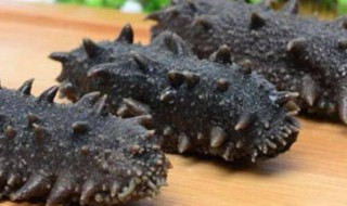 半干海参如何保存 半干海参怎么保存