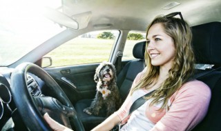 车内灰尘怎么清理 车内灰尘多怎样清理才不伤车？